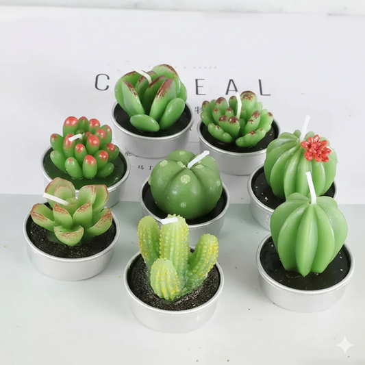 Mini Cactus Candle