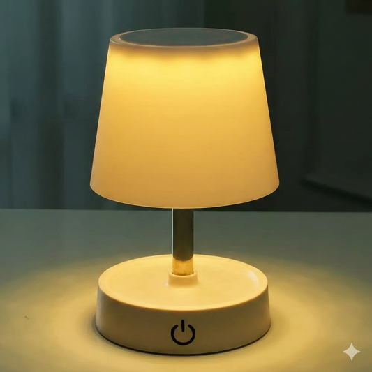 Modern LED Desk Lamp