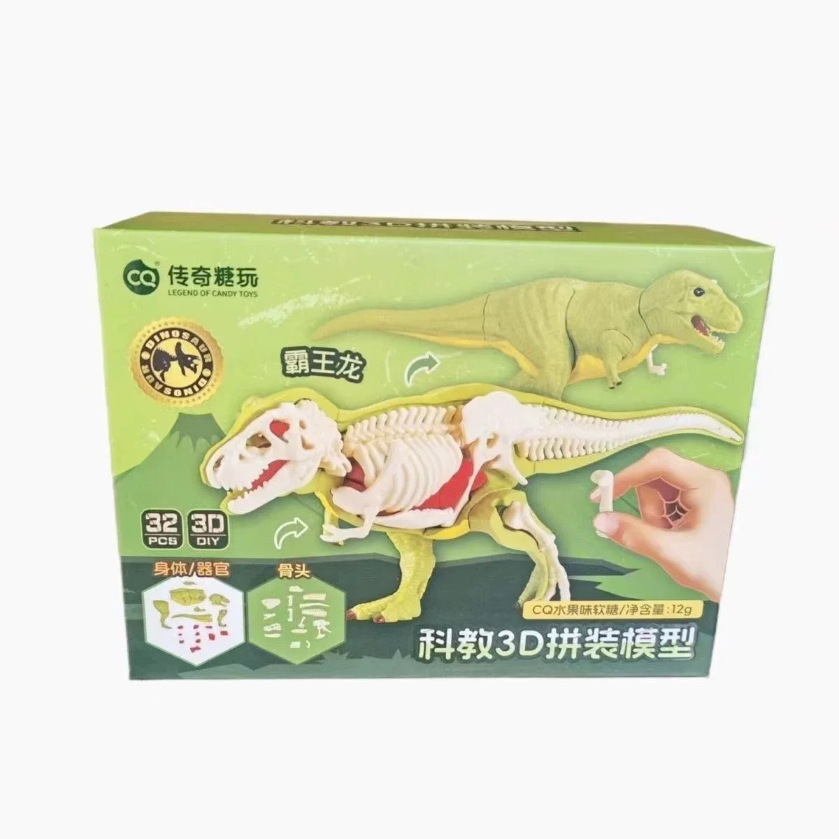 Dinosaur Skeleton Puzzle