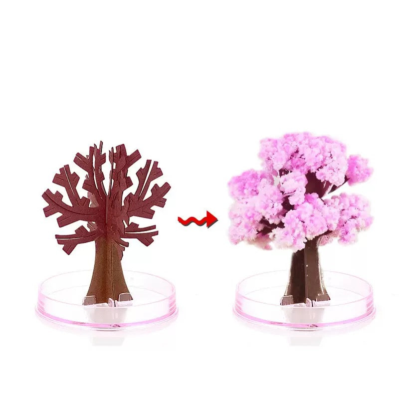 Diy Magic Sakura