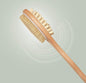 1685- Double side wooden bath brush