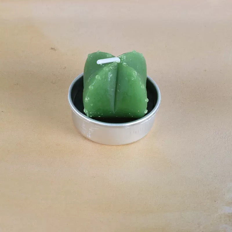 Mini Cactus Candle