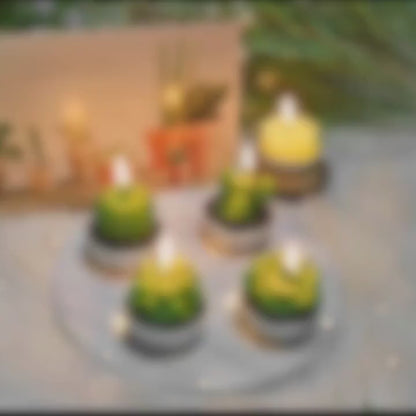 3 Pcs Cactus Candle